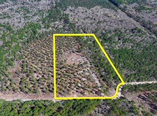 2 Boontown Rd, Groveton, TX 75845