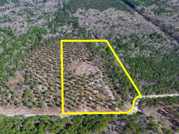 2 Boontown Rd, Groveton, TX 75845