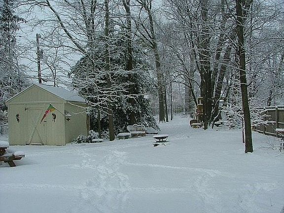 large back yard with shed