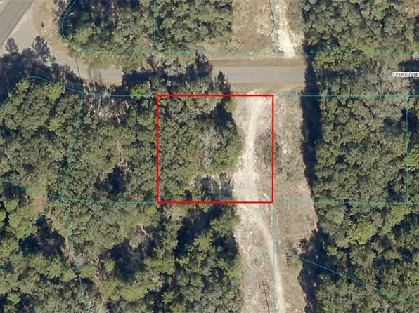 0 Fisher Lane Ct #21, Ocklawaha, FL 32179