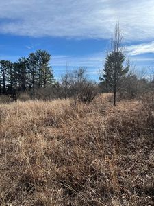 Tbd Larkspur Ln, Galax, VA, 24333