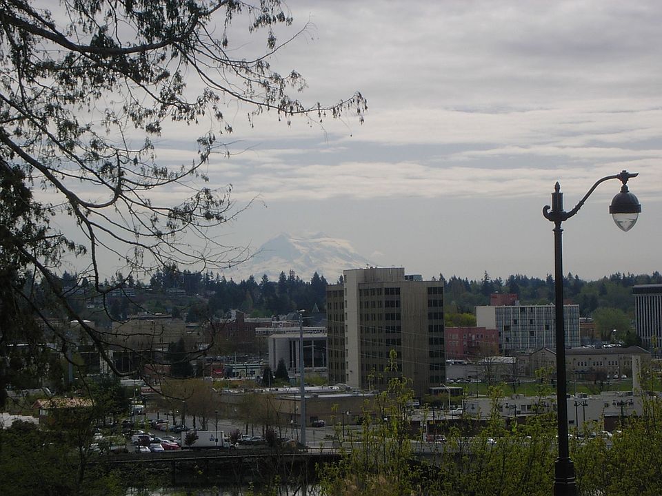 Towards City