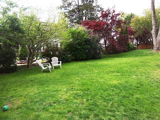 Backyard - level playing area