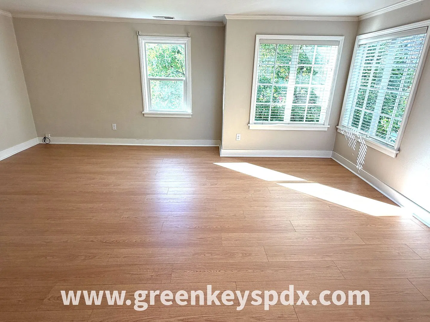 10197-1136 — Photo 4