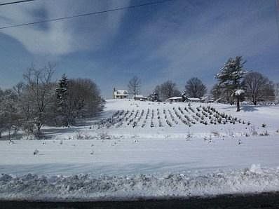 2nd image of S Franklin St