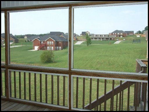 View from back porch