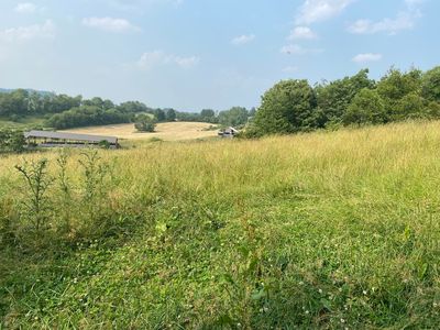 Tbd Widener Valley Rd, Glade Spring, VA, 24340
