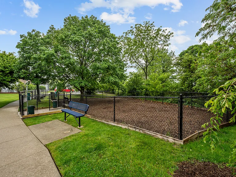 Dog Park