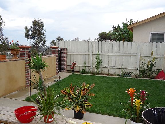 Backyard #2