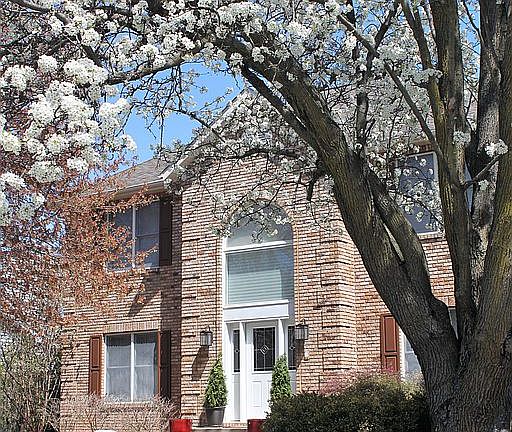 Front of house, early spring