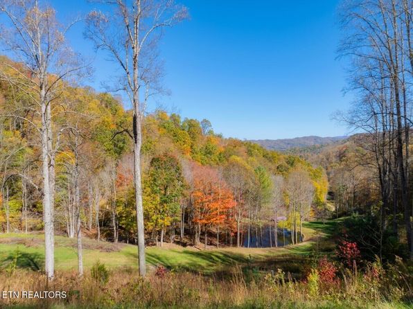 193 Smith Branch Rd, Roan Mountain, TN 37687