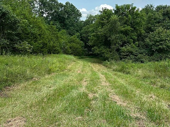 3rd image of 527 Dividing Ridge Rd S