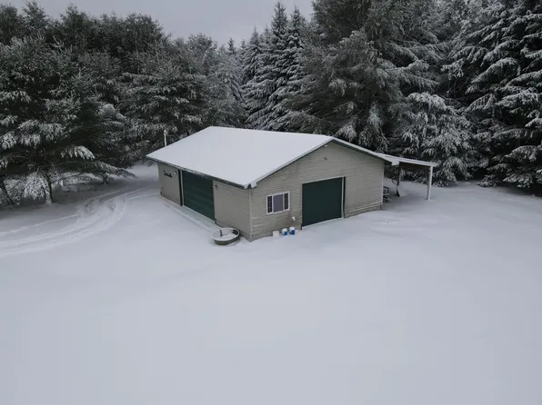 3301 E Wissmiller Rd, Mikado, MI 48745