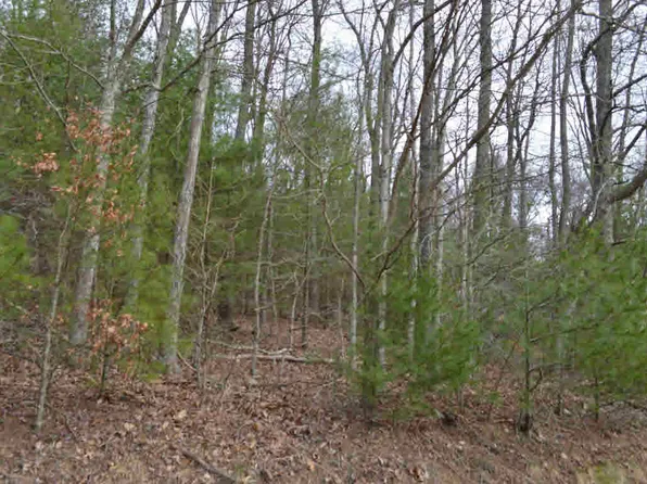 1 Little Mountain Rd E, New Castle, VA 24127