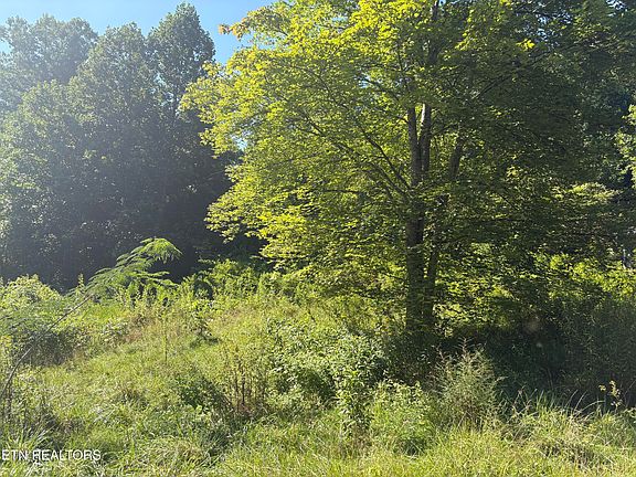 5th image of 5739 Morgan Co Hwy