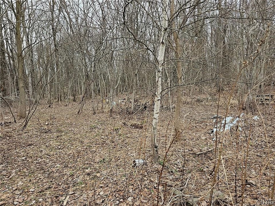 1st image of 6985 Stearns Rd Lot 4