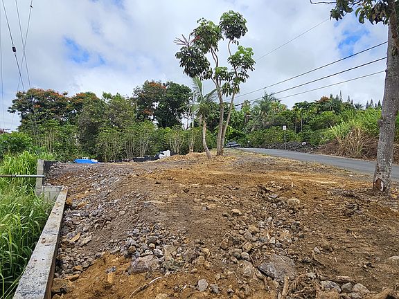 4th image of Mamalahoa Hwy Lot 2-D