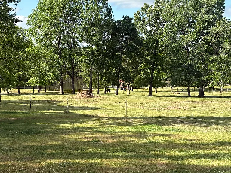 View from the deck
