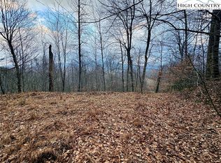 Lot 27 Wren Cove Lane, Vilas, NC 28692