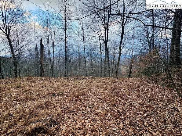 Lot 27 Wren Cove Lane, Vilas, NC 28692