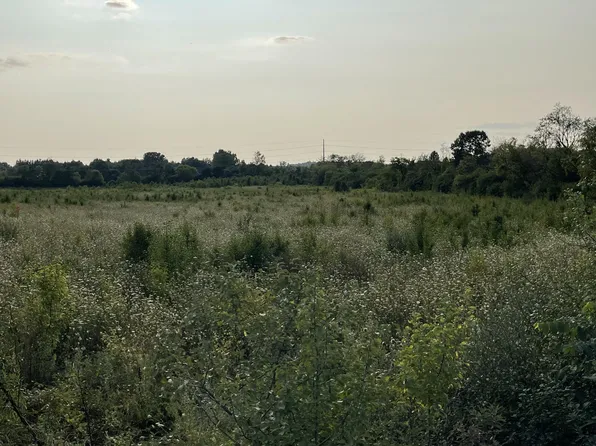 LOT 1 Munger Rd, Ypsilanti, MI 48197