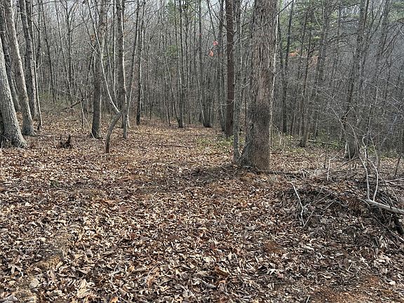 5th image of Lime Plant Rd #6