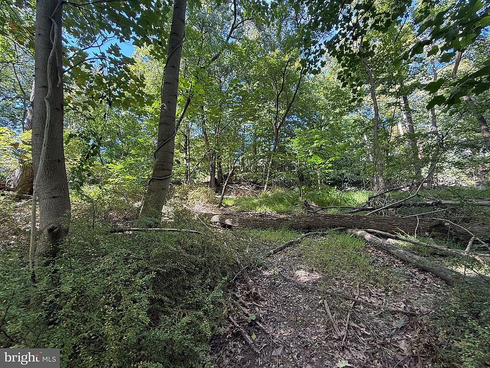 2nd image of 67 Maple Shade Dr