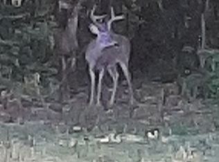 283 Bond Cemetery Rd, Denmark, TN 38391