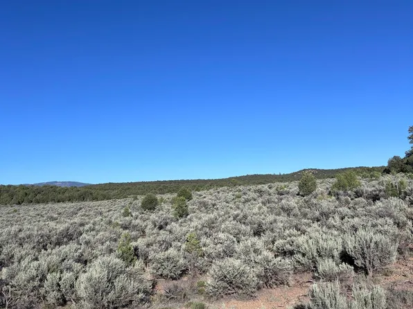 Road 312 Tract #D, Cebolla, NM 87518