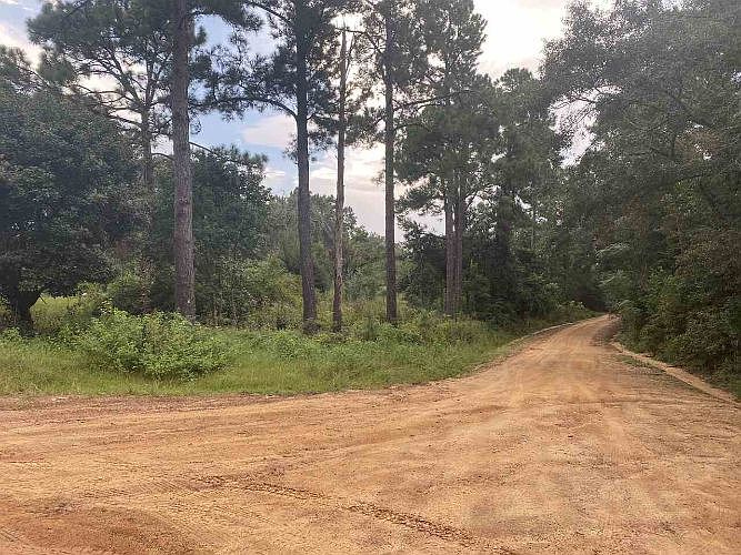 2nd image of 912 Williams Store Rd