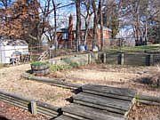 Back yard