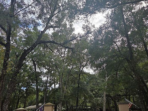 Solar custom Entry gate