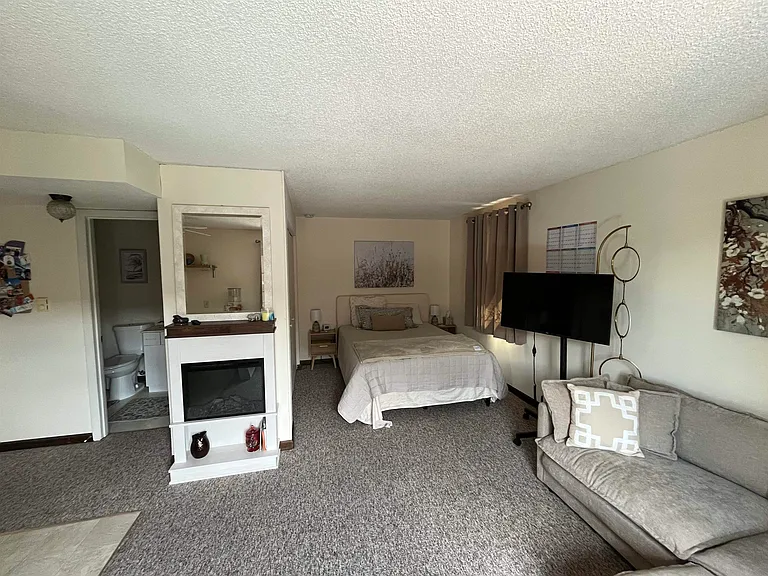 520 E Washington Ave #304 — Photo 5