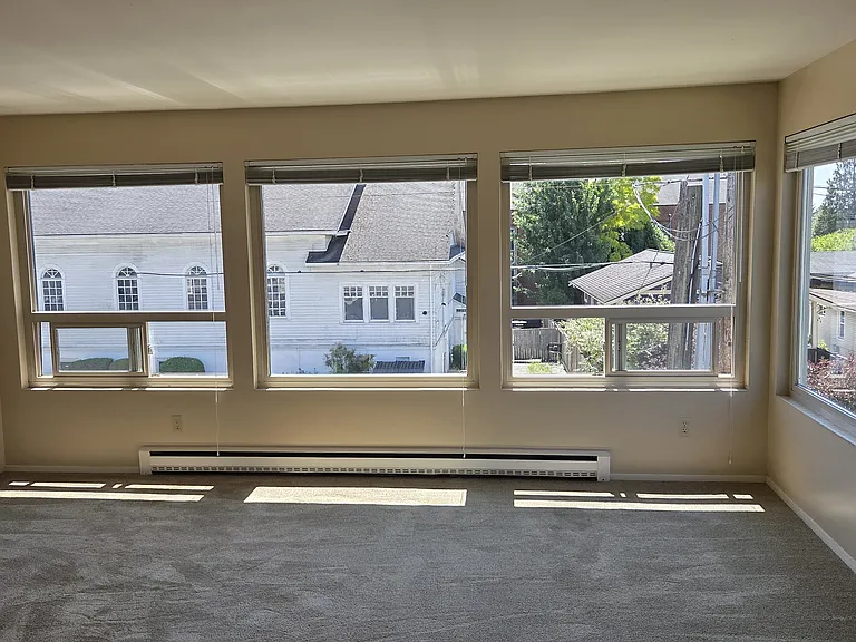 Living Room Windows