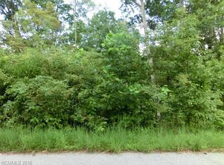 25 & 31 Garren View Drive 3 & #4, Fairview, NC 28730