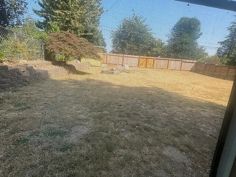 view of backyard from lower family room