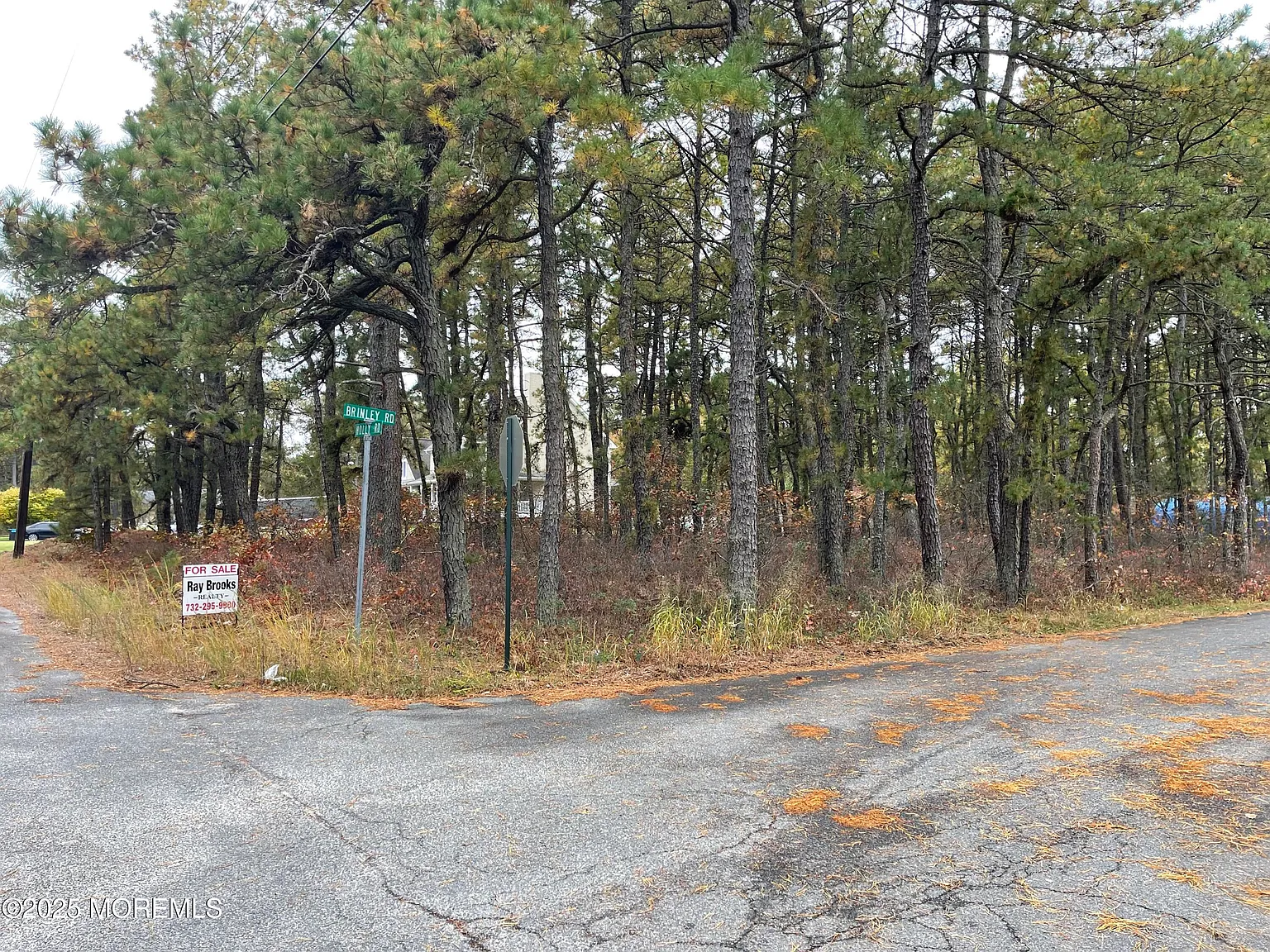 0 Holly Road photo 1