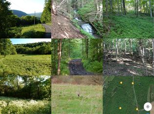 Maxson Rd, Homer, NY 13077