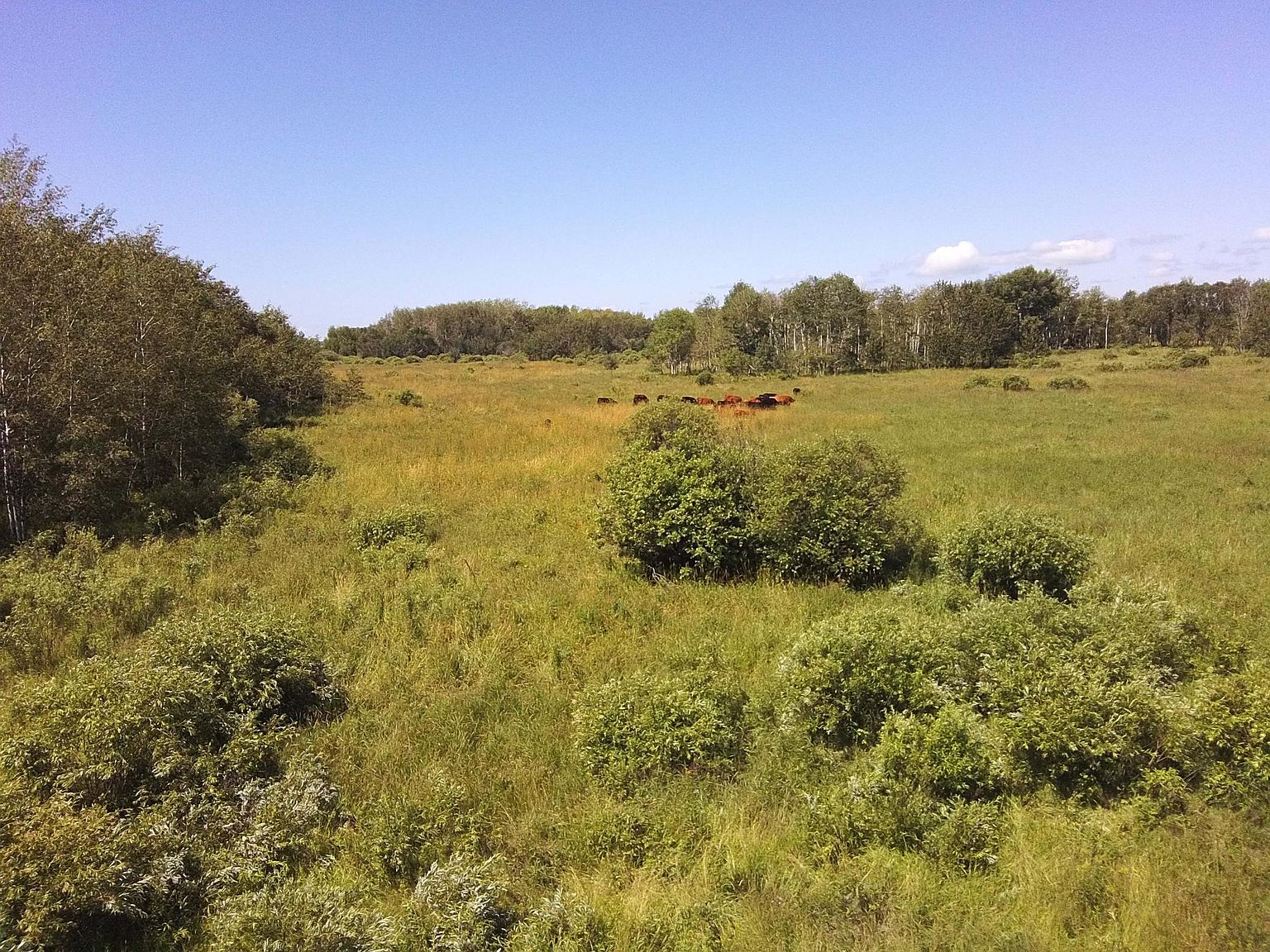 10732 600th St, Gonvick, MN 56644 MLS 6373364 Zillow