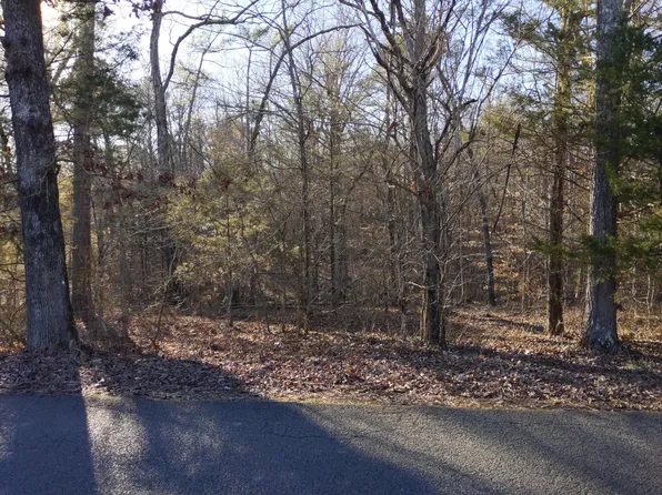 Spring Branch Rd, Mc Donald, TN 37353