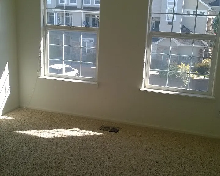 474 Black Feather Loop #413 — Photo 7