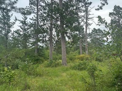 Memorial Ln NW, Bemidji, MN, 56601