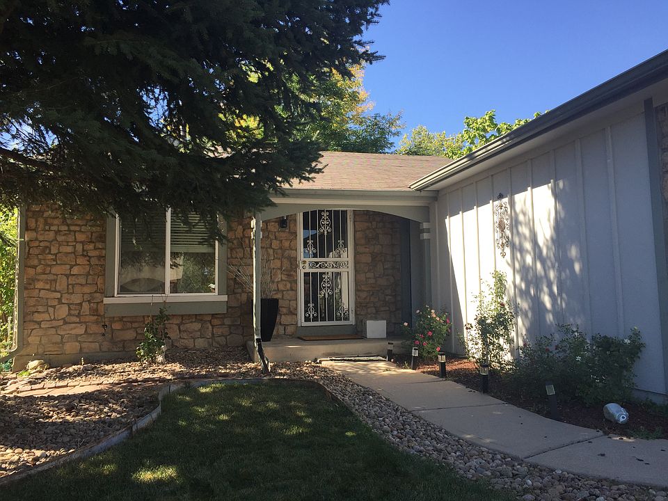 Shady Front Yard