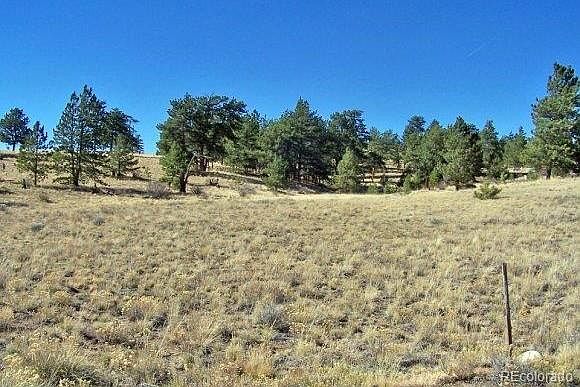 2nd image of 529 Bridle Path