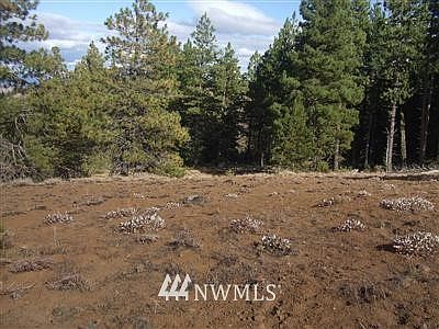 1st image of 0 Lot 56 N Fork/Ahtanum Road