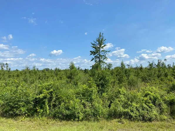 LOT 5 Highway 71 N, Wewahitchka, FL 32465