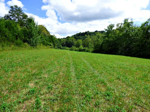 TRACT 2 Cody Rd, White Pine, TN 37890
