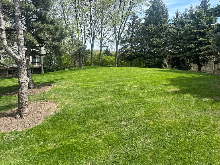 211 Monarch Dr — Photo 13