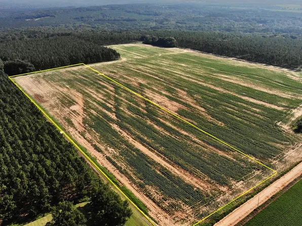 Highbluff Rd, Hartford, AL 36344