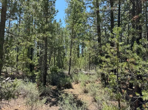 Gabriel Ct #50, Crescent, OR 97733